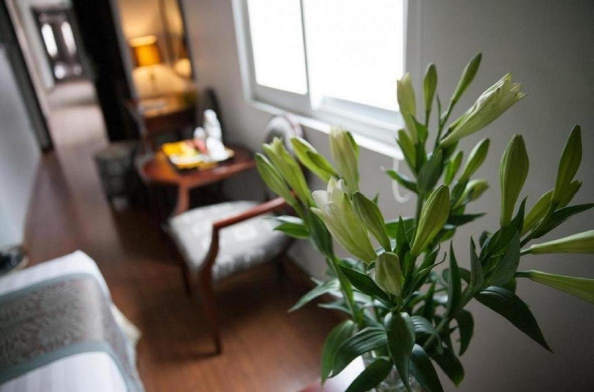 Skylark Boutique Hotel Ханой Екстер'єр фото